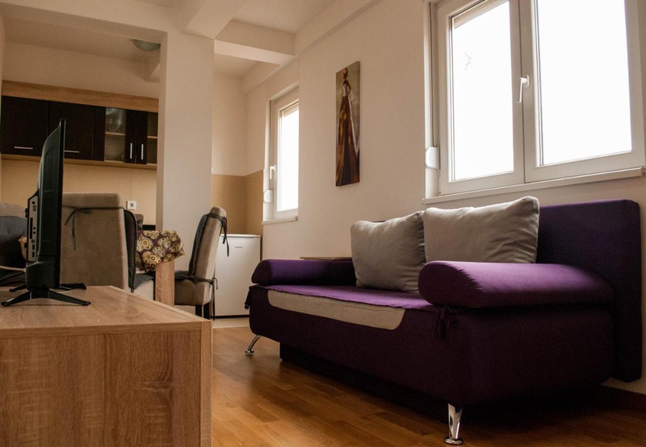 Apartman Soko Soko Banja Eksteriør bilde